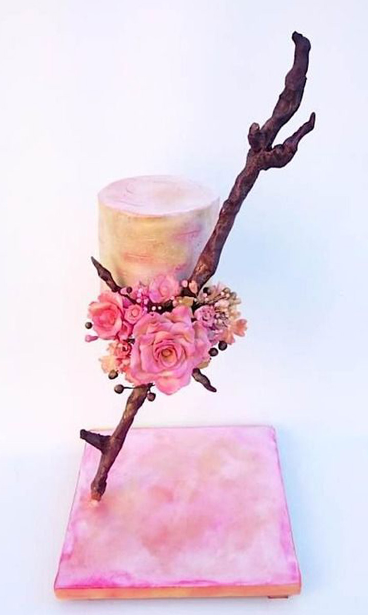 Climbing Cake Anti Gravity Cake