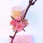 Climbing Cake Anti Gravity Cake