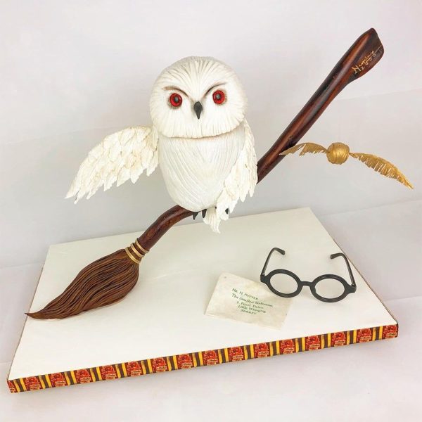 Owl Flying with Broomstick Cake