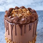 Choco Mixed Nuts Cake